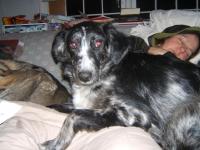 2005_0526Image0001.JPG